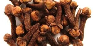 Clove Seeds