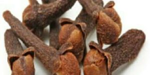 Cloves Seeds