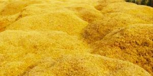 Wheat Bhusa for Animals