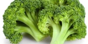 Fresh Broccoli
