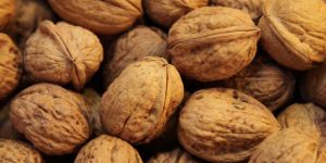 Walnut Kernels