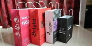 Shopping Paper Bags
