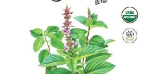 Tulsi Powder