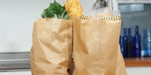 Grocery Paper Bag