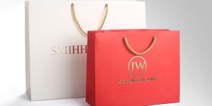 Printed Paper Carry Bags