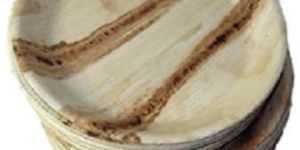 10 Inch Areca Leaf Plates