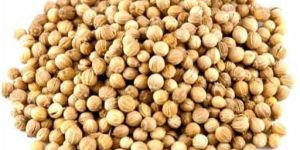 Coriander Seeds