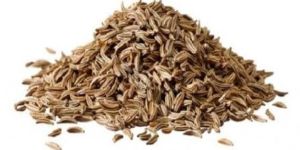 Cumin Seeds