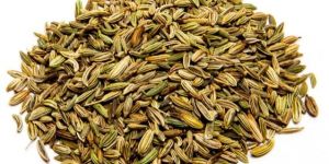 Fennel Seeds