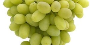 Fresh Grapes