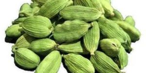 Green Cardamom