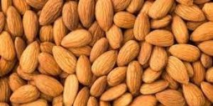 Almond Kernel