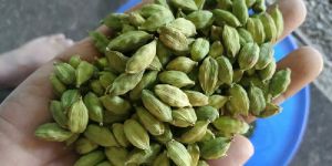 Green Cardamom