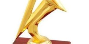 9.5 Inch Sports Trophy