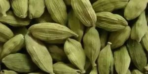 Cardamom