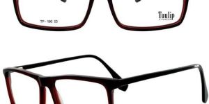 C6 TP 190 Spectacle Frame