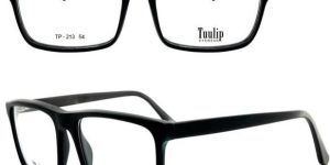 CM1 TP 213 Spectacle Frame