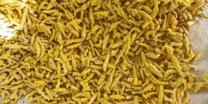 Yellow Turmeric Finger