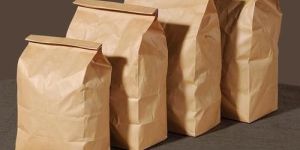 Paper Food Bags