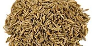 Cumin Seeds
