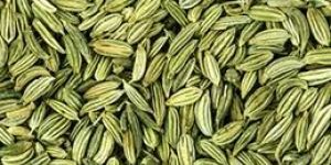 Fennel Seeds