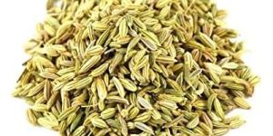 Fennel Seeds