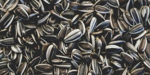 Sunflower Seeds
