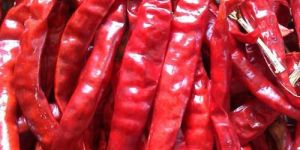 Dried Red Chili