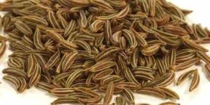 Shah Cumin Seeds