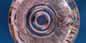 Disposable Paper Bowls