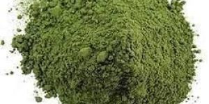 Azolla Powder