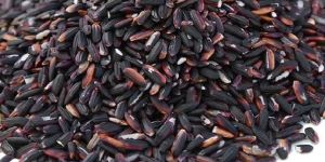 Black Rice