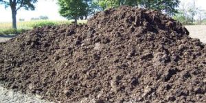 Organic Manure