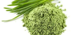 Wheat Grass Powder