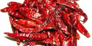 Dry Red Chilli