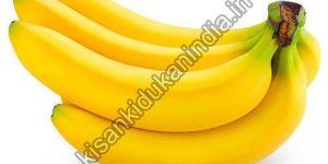 Fresh Banana