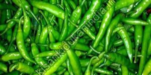 Fresh Green Chilli