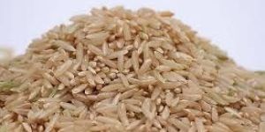 Brown Rice