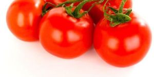 Fresh Red Tomato