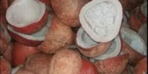 Copra Coconut