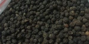 Black Pepper Seeds