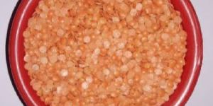 Masoor Dal