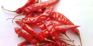 Dried Red Chilli