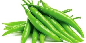Fresh Green Chilli