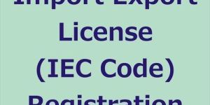 Import Export Registration Services