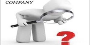 Public Limited Company Registration Services