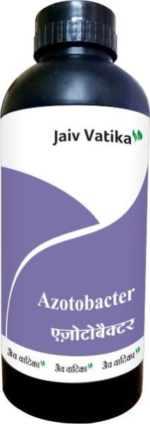 Azotobacter Biofertilizer