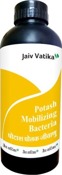 Potash Mobilizing Bacteria