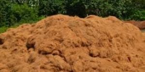 Coco Peat Powder