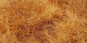 Coir Fiber